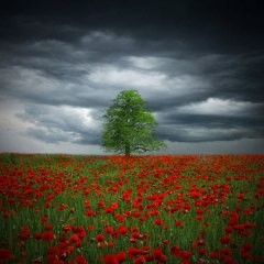 calm before the storm